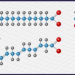 Fats - Friend or Foe?